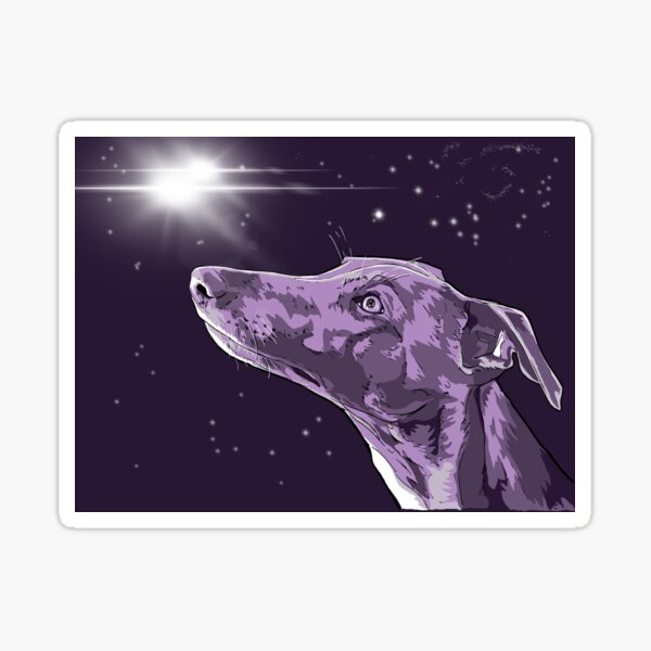 Stargazing Whippet Sticker