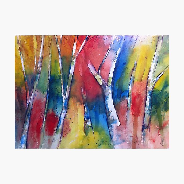 Alberi nel bosco Photographic Print