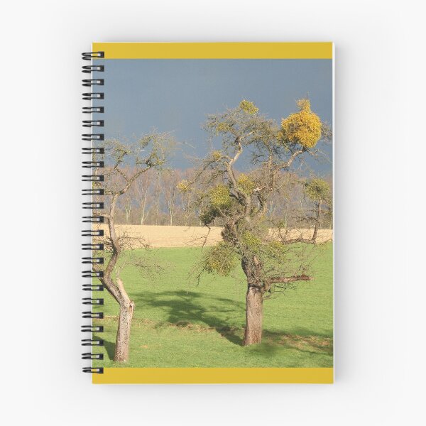 Item preview, The Mistletoe designed and sold by Calidris Fotografie Steffi & Ben Köppler.