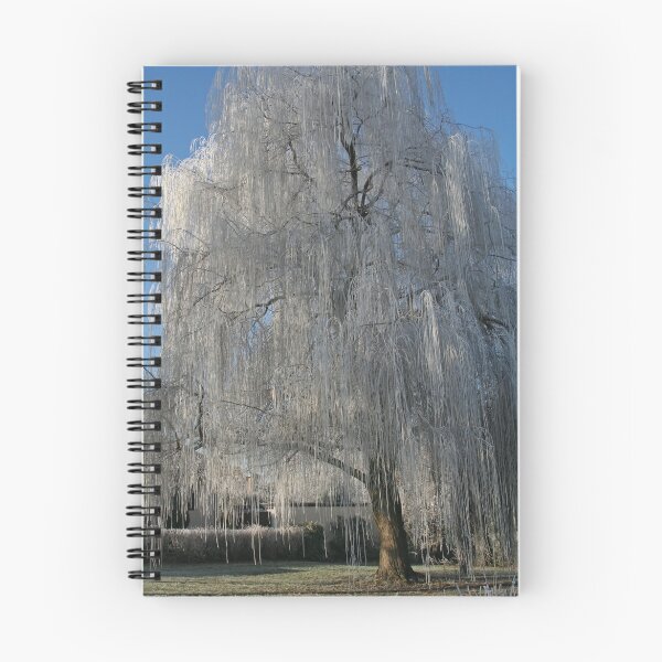 Item preview, Willow on Ice designed and sold by Calidris Fotografie Steffi & Ben Köppler.