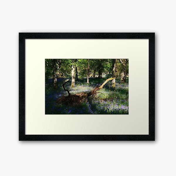 In Kinclaven (2) Framed Art Print