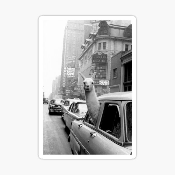 Vista previa del artículo con la obra «Llama blanco y negro en un taxi», diseñado y vendido por BillyTees.