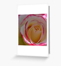 A single bloom Greeting Card
