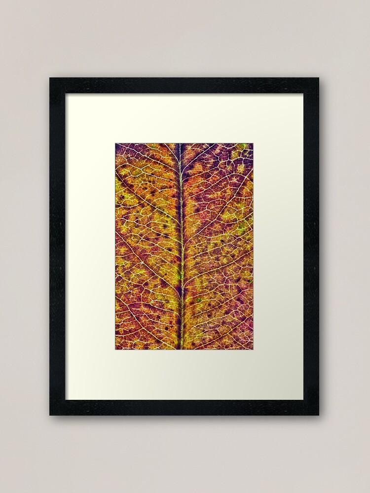 Alternate view of Leaf Sturcture Framed Art Print