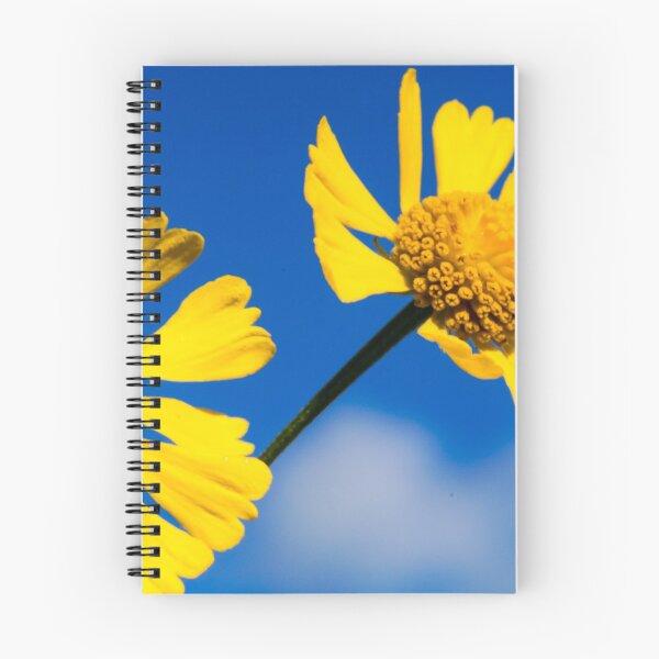 Item preview, Yellow flowers against the blue sky designed and sold by Lowtech.