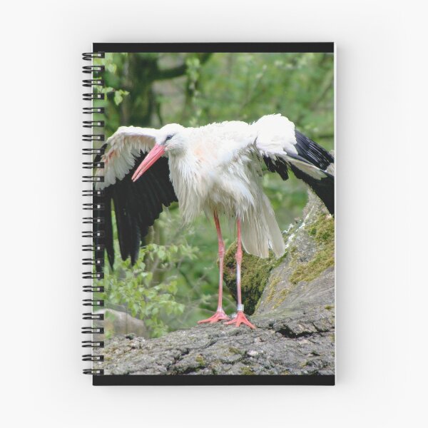 Item preview, Drying designed and sold by Calidris Fotografie Steffi & Ben Köppler.
