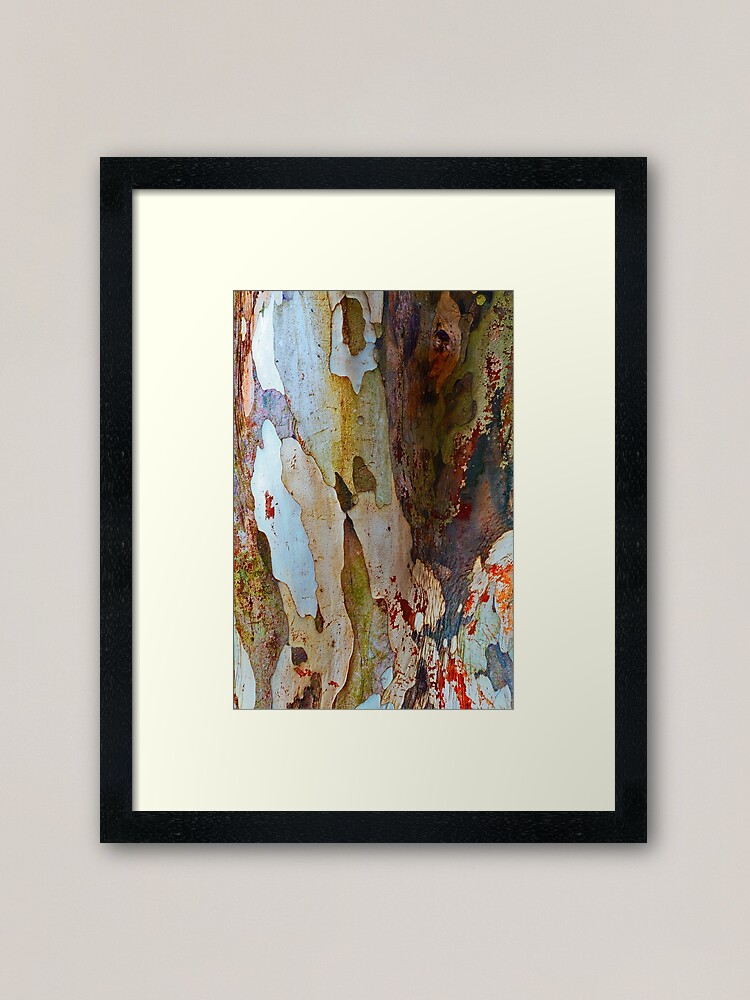 Alternate view of Leopard tree bark Framed Art Print