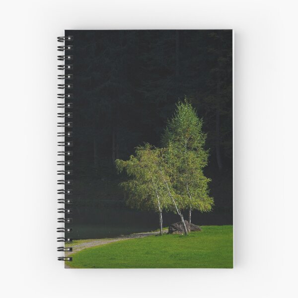 Item preview, Silver Birch Trees against a dark forest designed and sold by Cameranick.