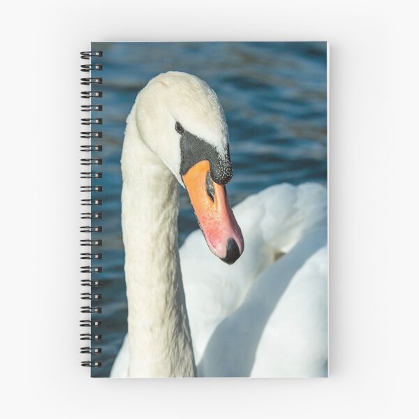 Item preview, Mute Swan Close Up designed and sold by Cameranick.