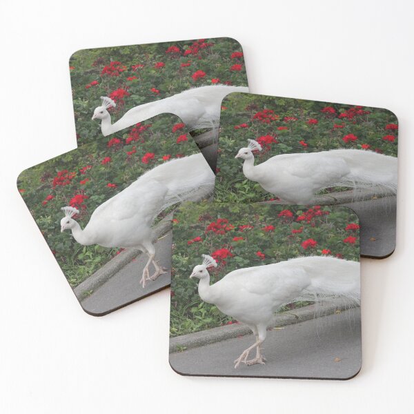 Artikelvorschau, Weißer Pfau und Blumen entworfen und verkauft von RichImage.