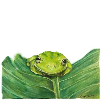 Artwork thumbnail, Tree frog on a leaf sticker by Taylor Baxley