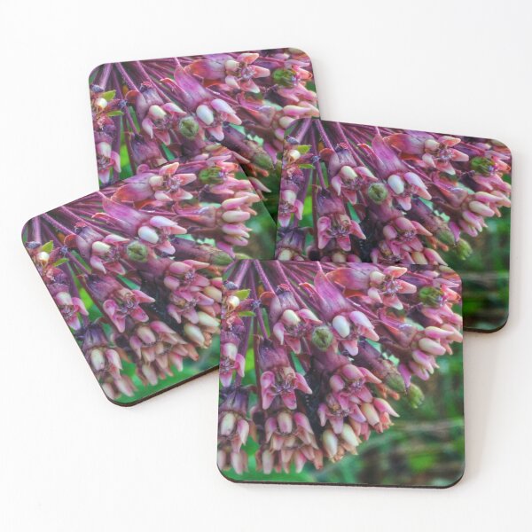 Item preview, Milkweed designed and sold by The Rage Garden.
