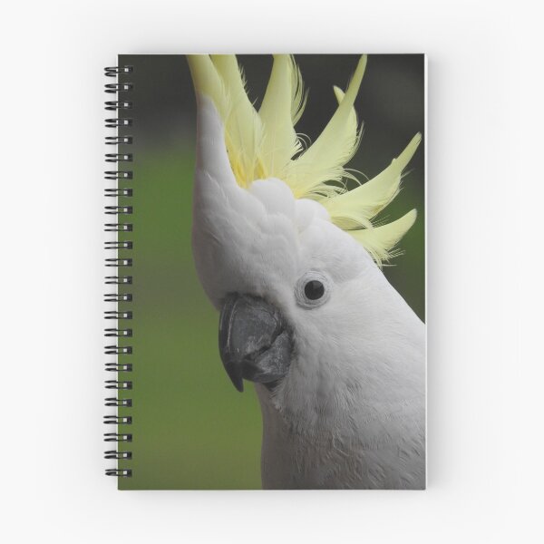 Item preview, Sulphur Crested Cockatoo designed and sold by kirstybush.