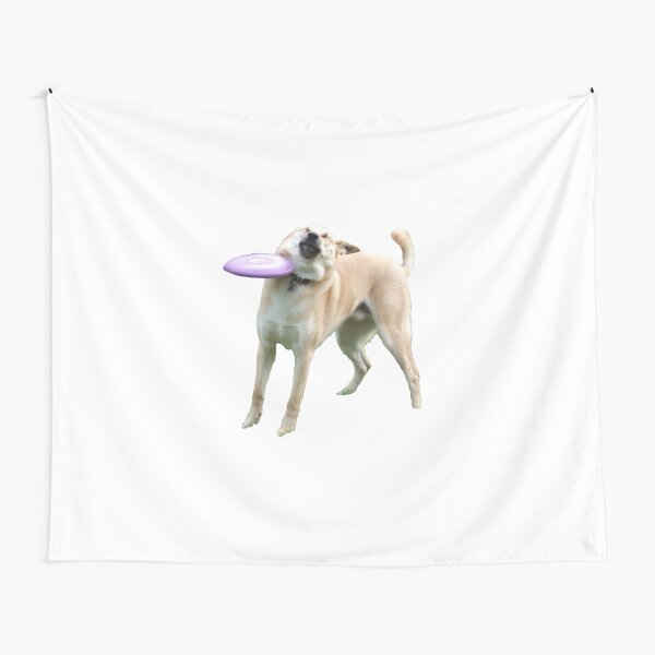 Frisbee Doge Tapestry