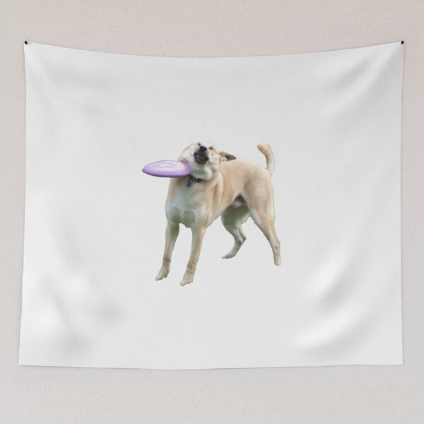 Item preview, Frisbee Doge designed and sold by Meme Economy.