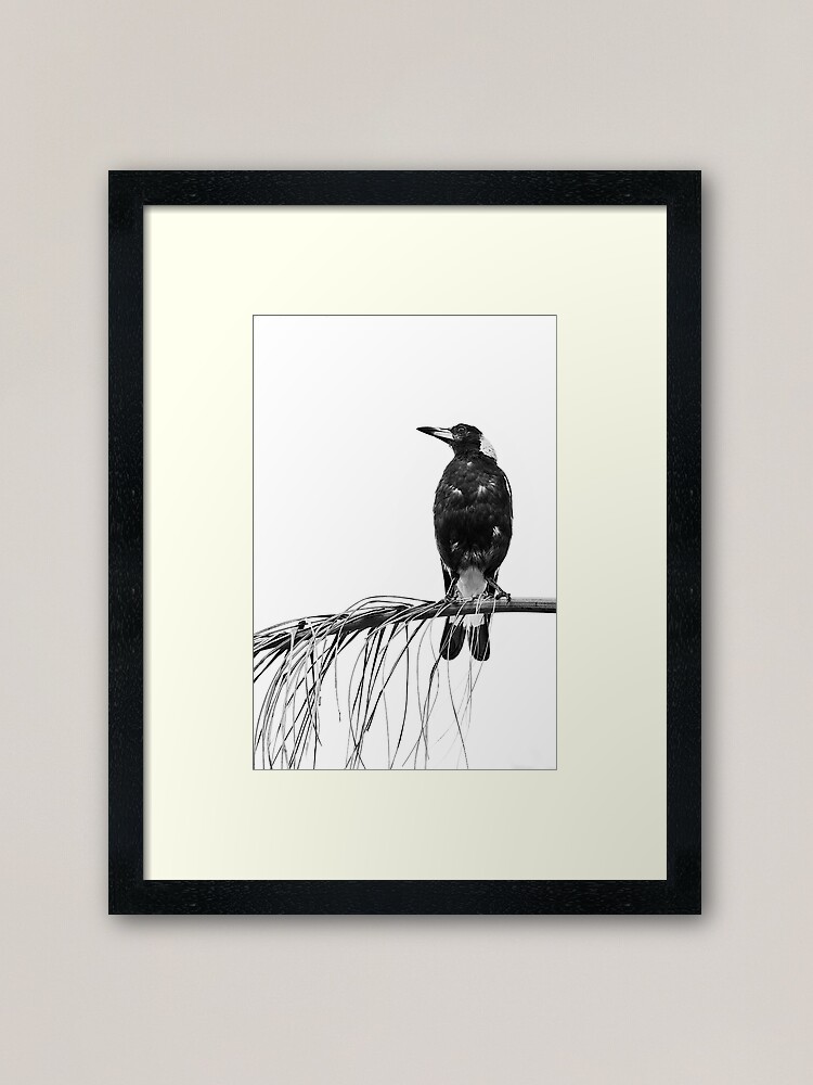 Alternate view of Magpie Framed Art Print