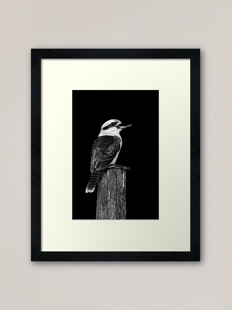 Alternate view of kookuburra Framed Art Print