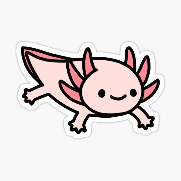 Pink Axolotl Gifts Merchandise Redbubble