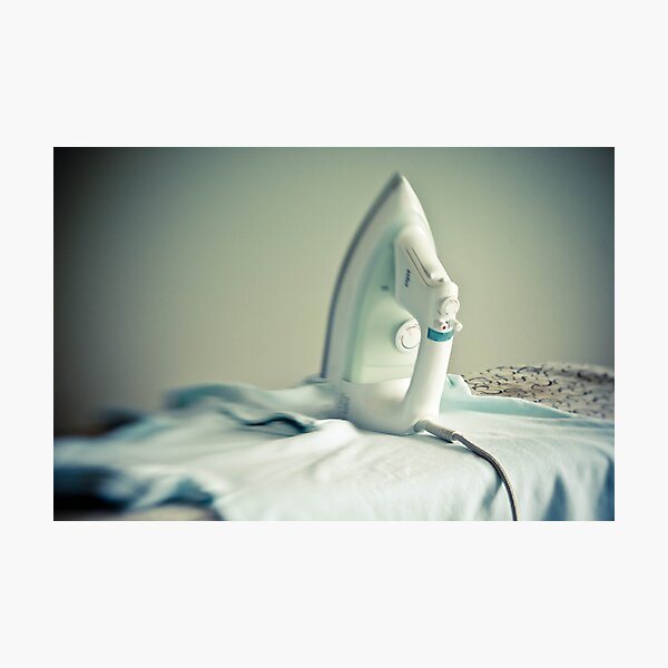 ~ domesticity ~ Photographic Print