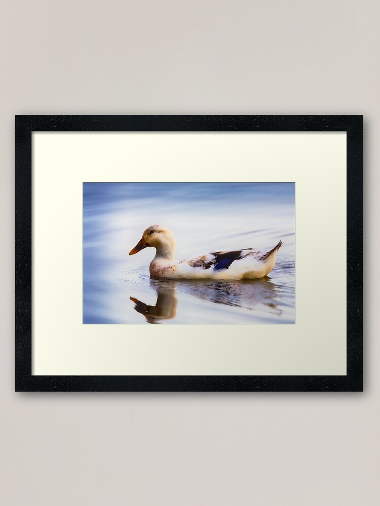 Alternate view of duckling Framed Art Print