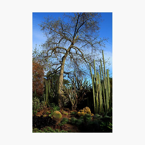 Item preview, Huntington Botanical Gardens designed and sold by Tom-Sky.
