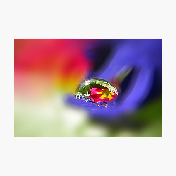 Item preview, GOCCIA designed and sold by Aurora Pintore.