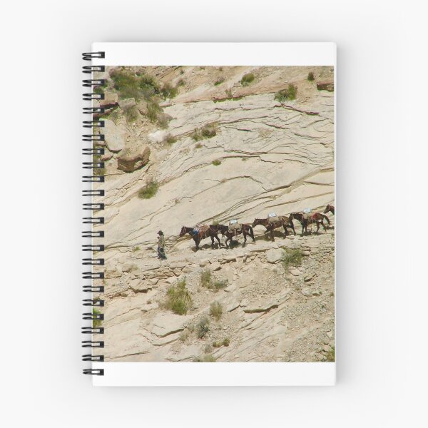 Item preview, The Desert Trail designed and sold by Brent Sisson.