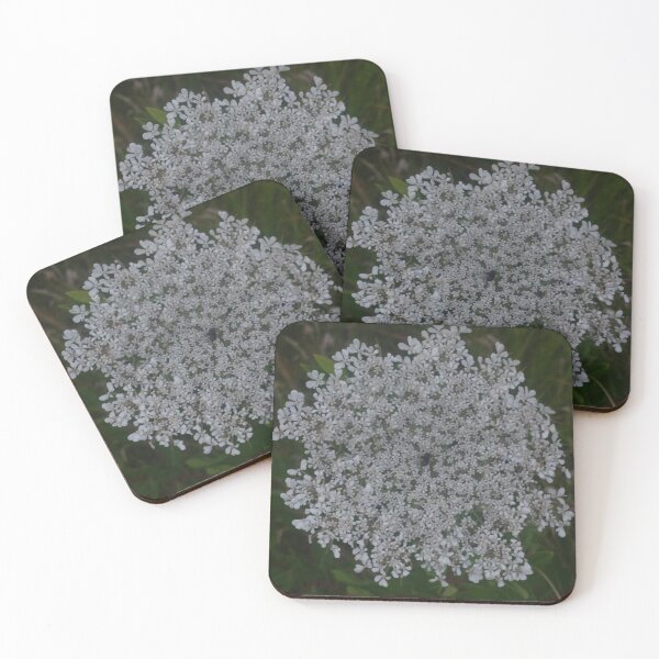 Item preview, Queen Annes Lace Original designed and sold by The Rage Garden.