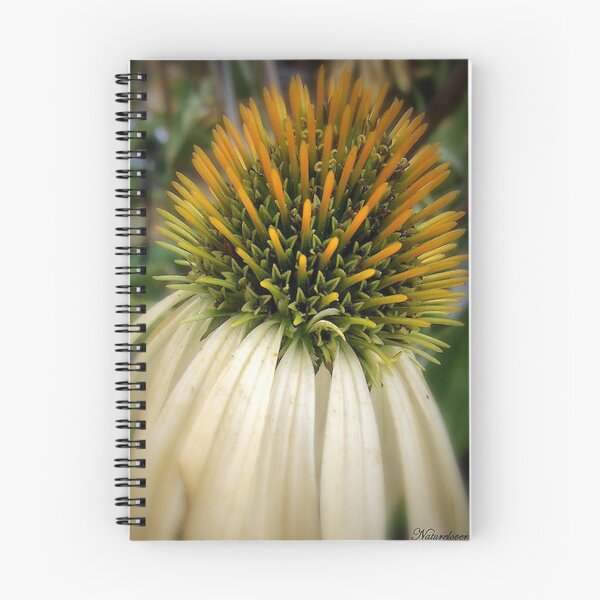 Item preview, The Leading Light! designed and sold by naturelover.