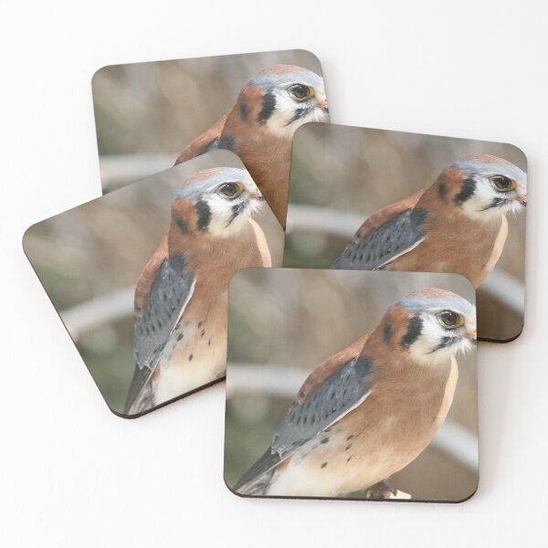Item preview, Portrait of a beautiful little raptor designed and sold by RichImage.