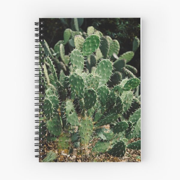 Item preview, Green Cactus Growing in the Desert designed and sold by chillchar1234.