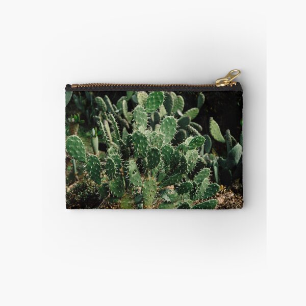 Item preview, Green Cactus Growing in the Desert designed and sold by chillchar1234.