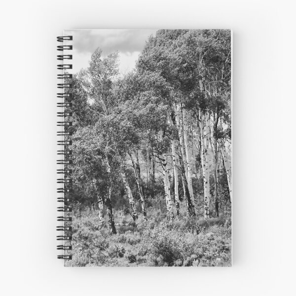 Item preview, Aspen designed and sold by Hugh Olin Smith Jr.