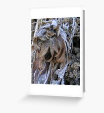 Crinkle Greeting Card