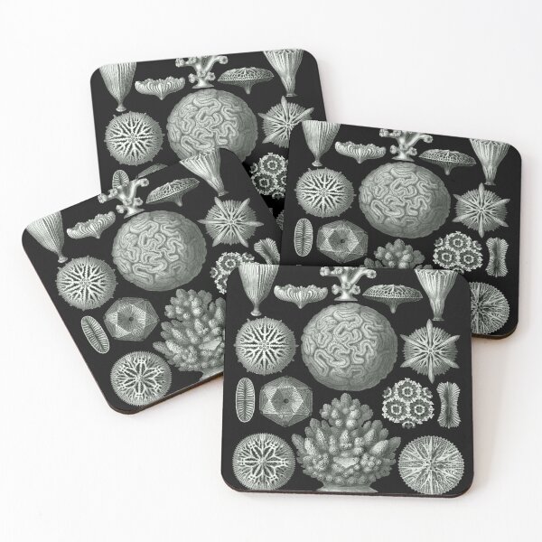 Item preview, Ernst Haeckel - Hexacorallia designed and sold by ShaMiLaB.