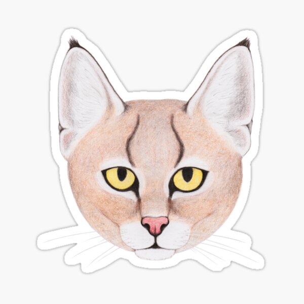 Jungle Cat Sticker