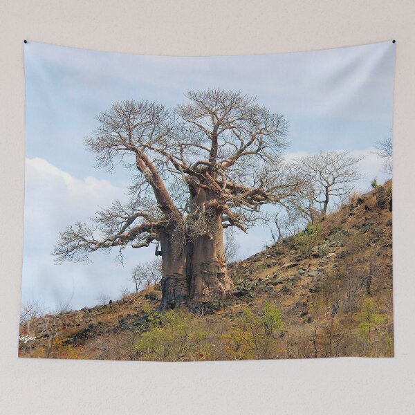 Item preview, BAOBAB – Adonsonia digitata designed and sold by Magriet Meintjes.