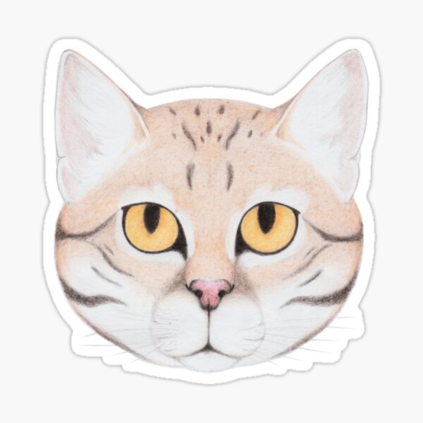 Black-footed Cat Sticker