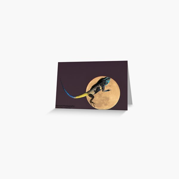 Agama Moon Greeting Card