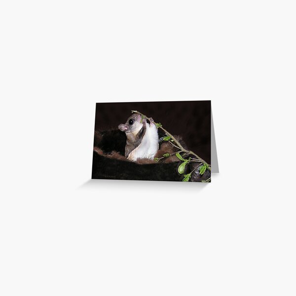 Eatin' O' The Greens Greeting Card