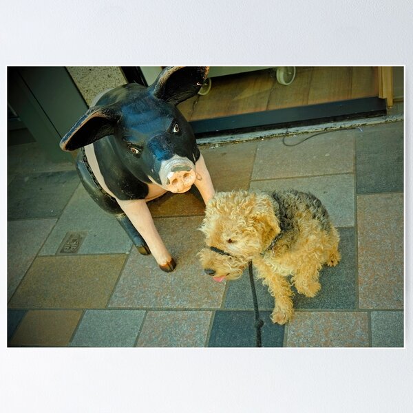 Item preview, Bernie the Lakeland Terrier meets a large pig outside a butcher's shop designed and sold by EricHands.