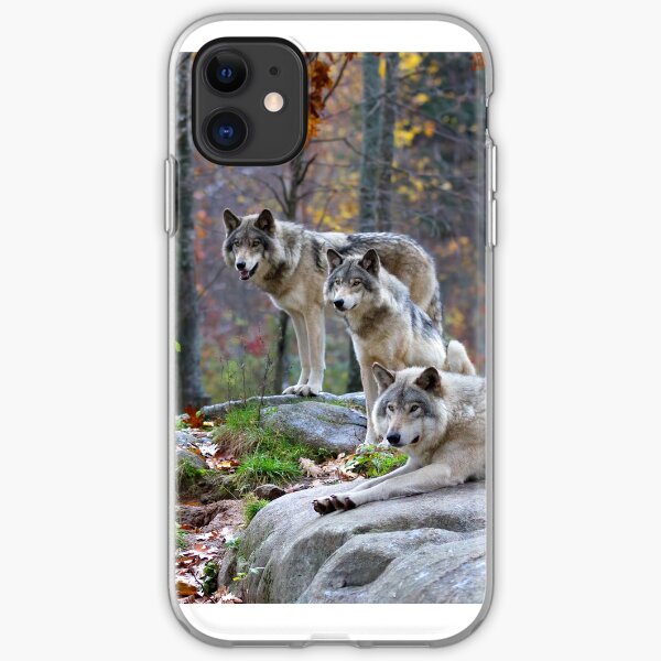 Timber Wolves in Autumn iPhone Soft Case