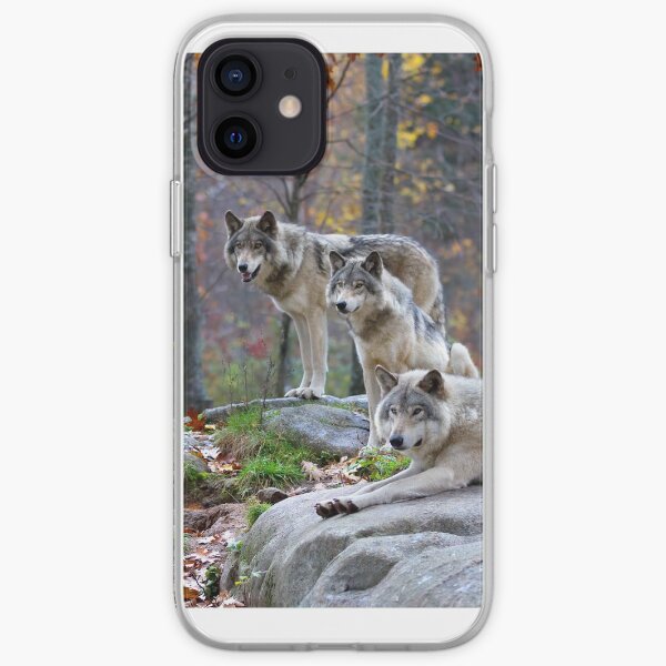 Timber Wolves in Autumn iPhone Soft Case