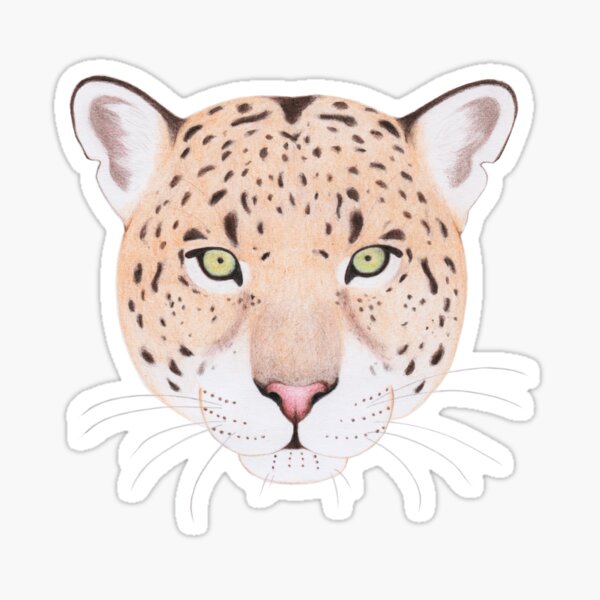 African Leopard Sticker