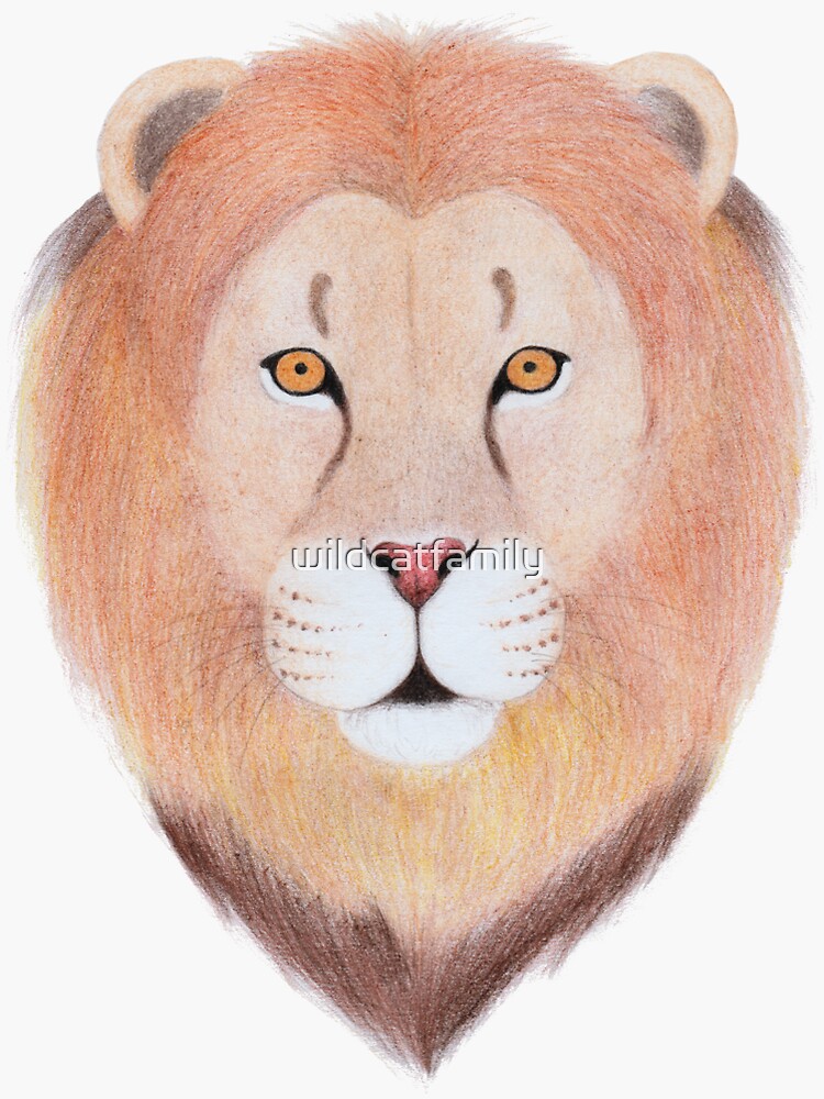 African Lion by wildcatfamily