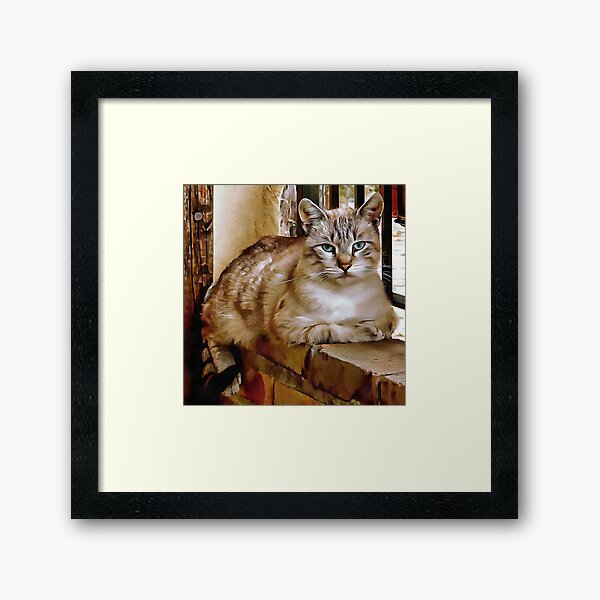 Old Blue Eyes Framed Art Print
