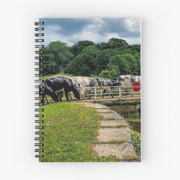 Item preview, On the way to the parlour designed and sold by Colin Metcalf.