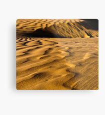 Golden Dunes Metal Print