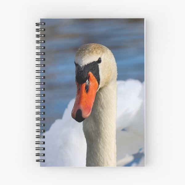 Item preview, Territorial swan designed and sold by GreyFeatherPhot.