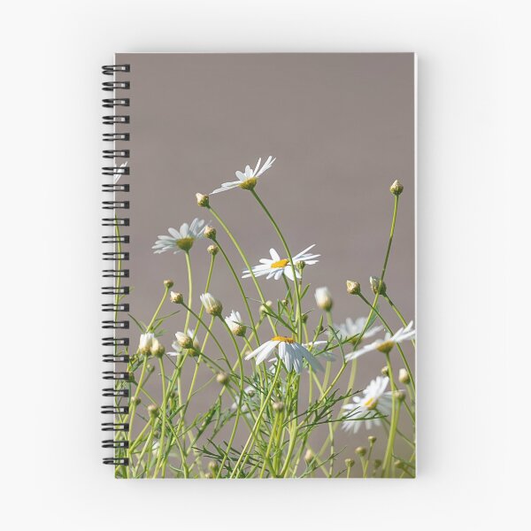 Item preview, Buds and flowers of white field daisies on a blurred background designed and sold by EG Creativity Art.